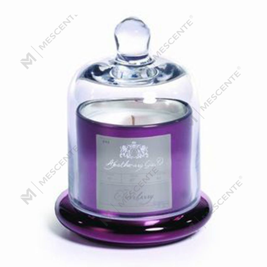 Mescente Luxury Silver klenutý kryt Scented Candle candle sklenená kupola Zaváracie poháre